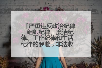 严重违反政治纪律、组织纪律、廉洁纪律、工作纪律和生活纪律的罗璇，非法收受他人巨额财物